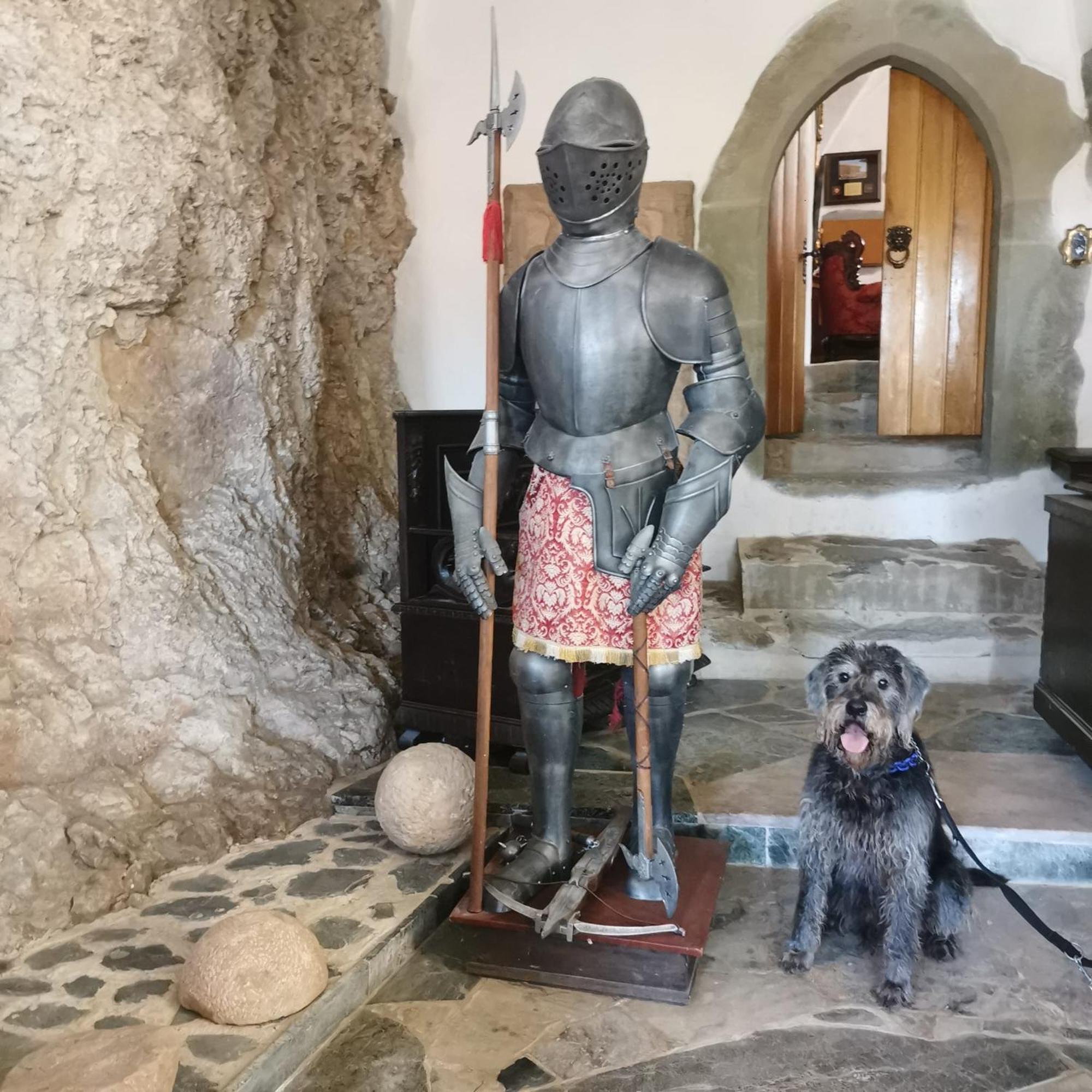 Burg Hermannstein - Kings Room Вецлар Екстериор снимка